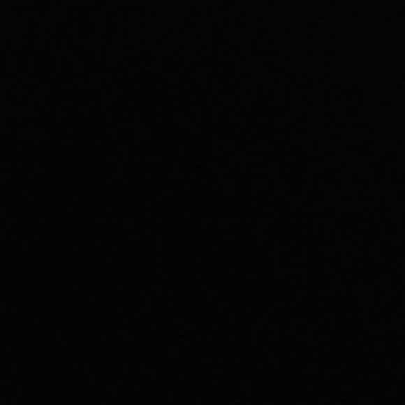 sofiagarcia560